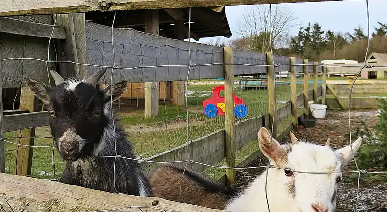 Holiday home in Struer