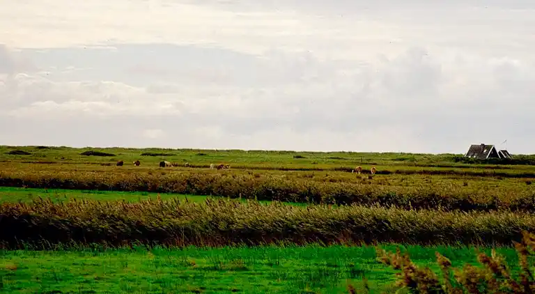 Holiday home in Blåvand