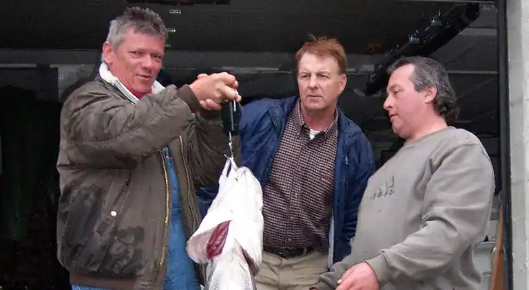 Holiday home in Surnadal