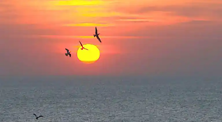 Vakantiehuis in Rønne