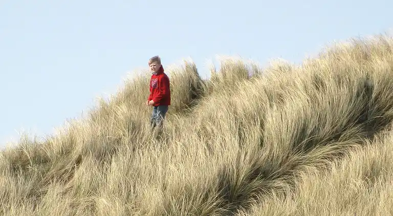 Sommerhus i Ringkøbing
