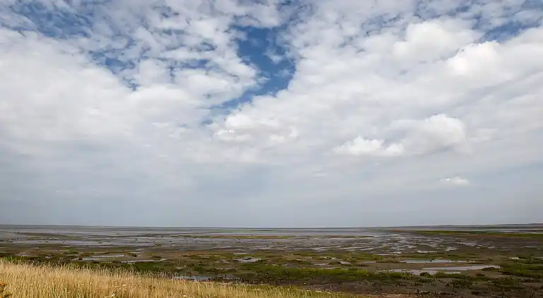 Sommerhus i Skærbæk