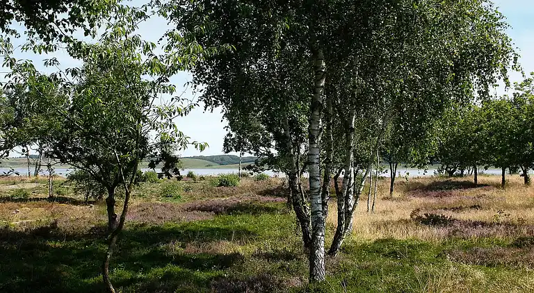 Holiday home in Højslev