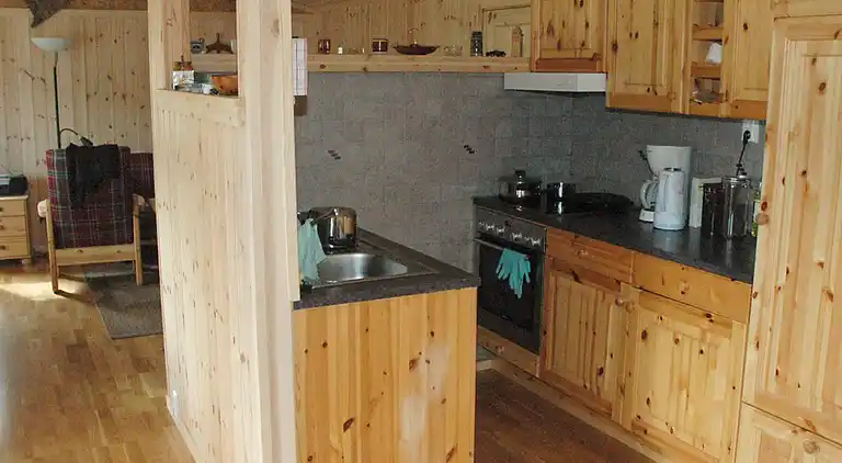 Holiday home in Surnadal