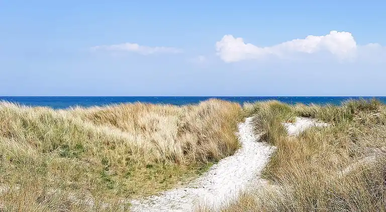 Holiday home in Sæby