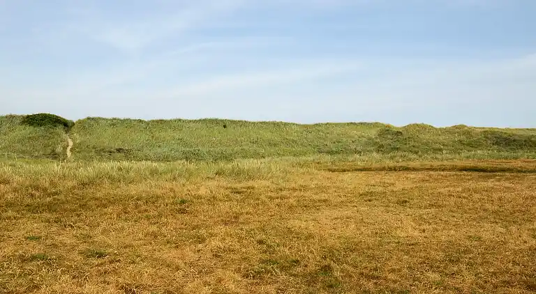 Semesterbostad vid Vrist Strand