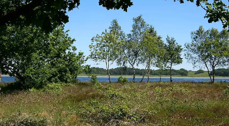 Holiday home in Højslev