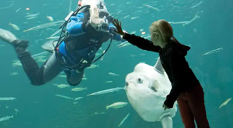 2½ rum,1.våningen m/havsutsikt