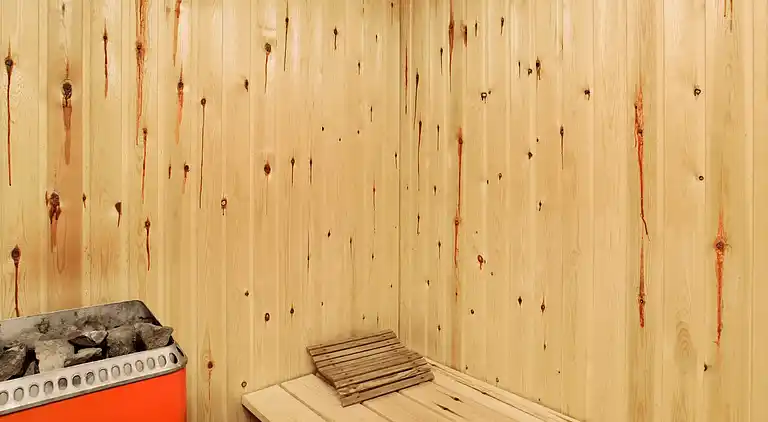 Sommerhus i Bindslev