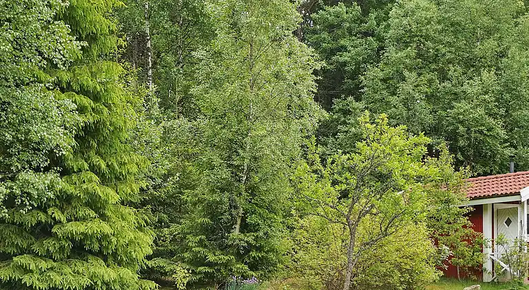 Casa vacanze in Sävsjö S
