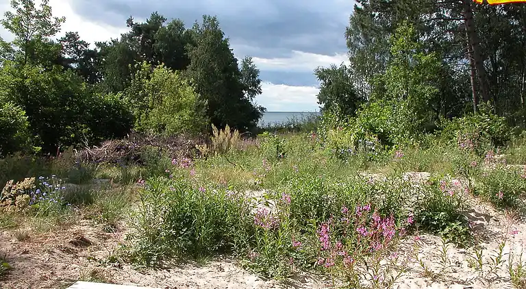 Holiday home in Sømarken