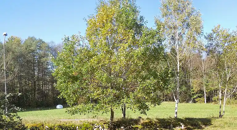 Casa vacanze in Markaryd Ö