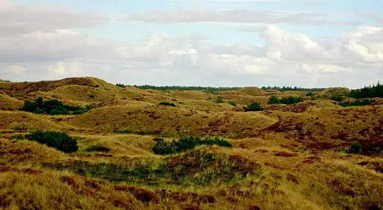 Holiday home in Blåvand