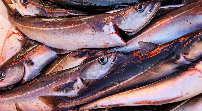 Holiday home in Kopang