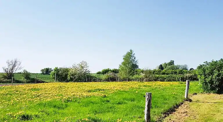 Casa vacanze in Hvidbjerg Strand