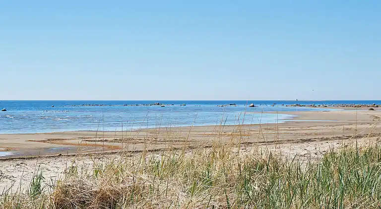 Holiday home in Skogstorp-Västra Gärdet-Arvidstorp