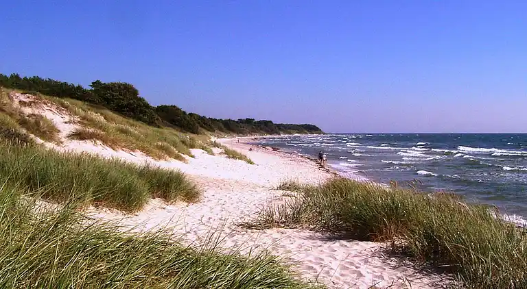 Sommerhus i Sømarken