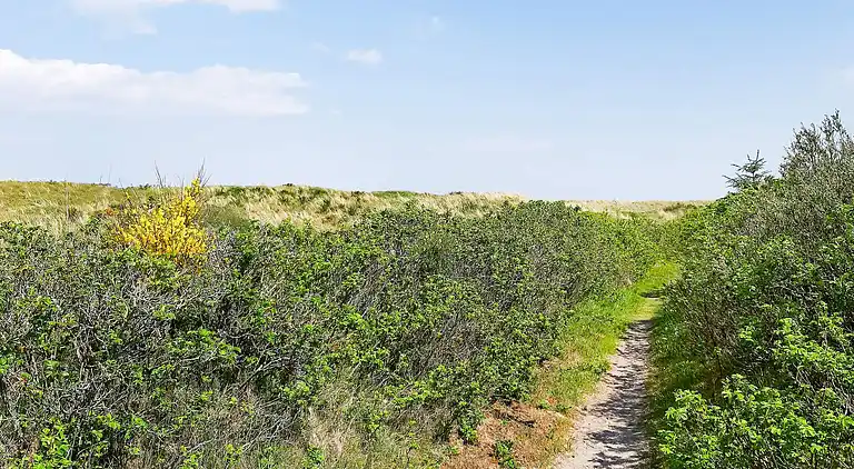Holiday home in Sæby