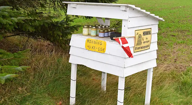 Holiday home in Ulfborg