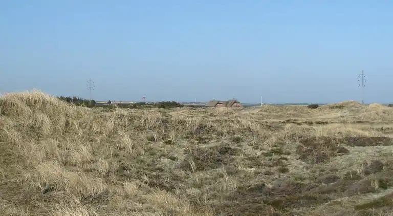 Sommerhus i Ringkøbing