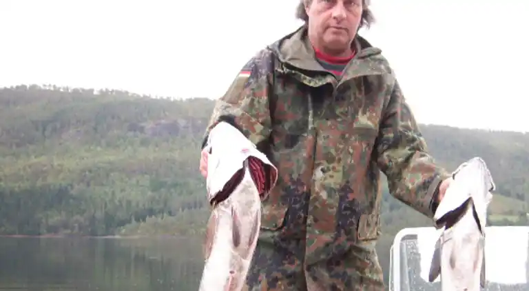 Holiday home in Surnadal