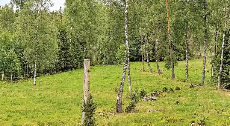 Casa vacanze in Sävsjö S