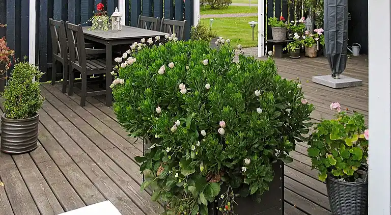 Casa vacanze in Væggerløse