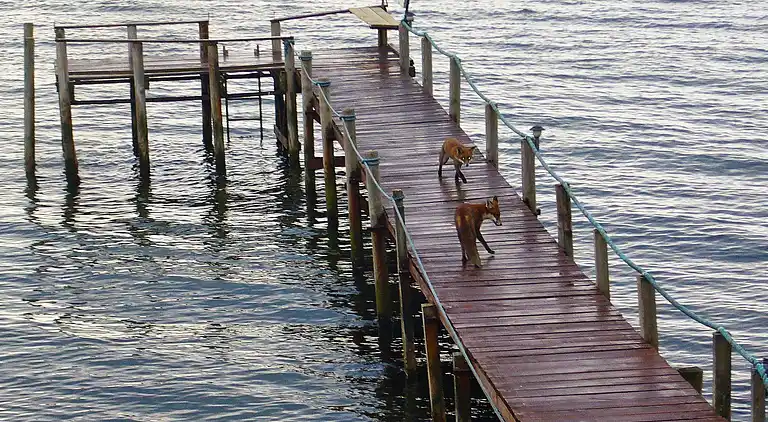 Holiday home in Sønder Stenderup