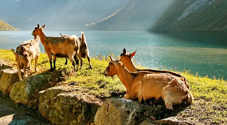 Holiday home in Helgheim