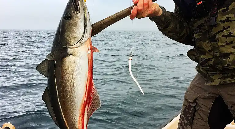 Holiday home in Lyngen