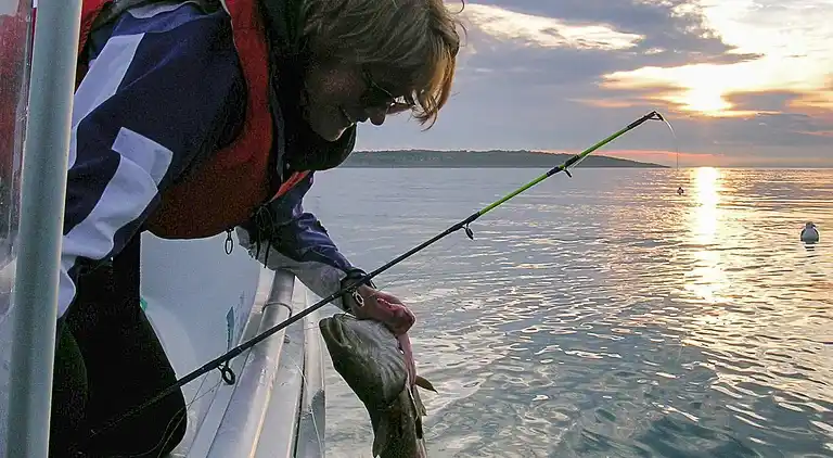 Holiday home in Selsøyvika