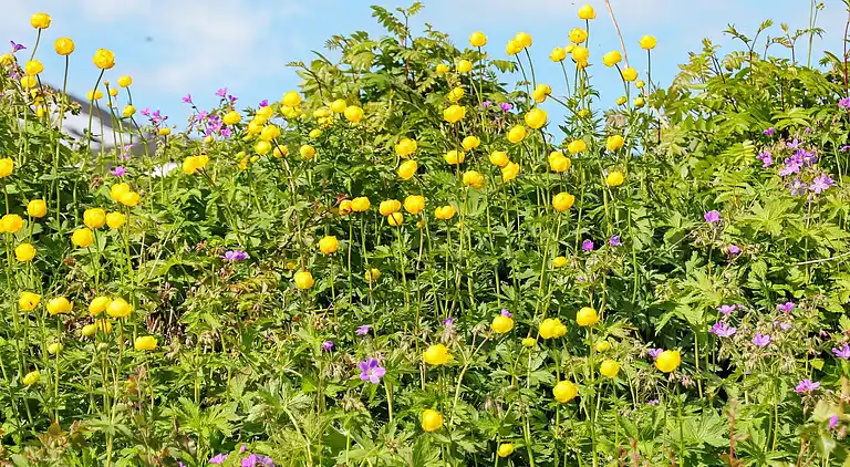 Holiday home in Kopang