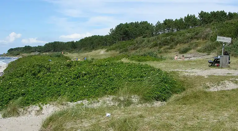 Holiday home in Hasle