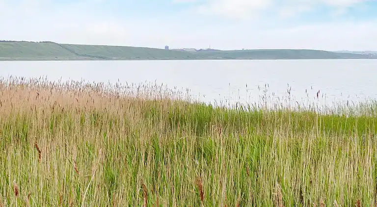 Sommerhus i Harboøre