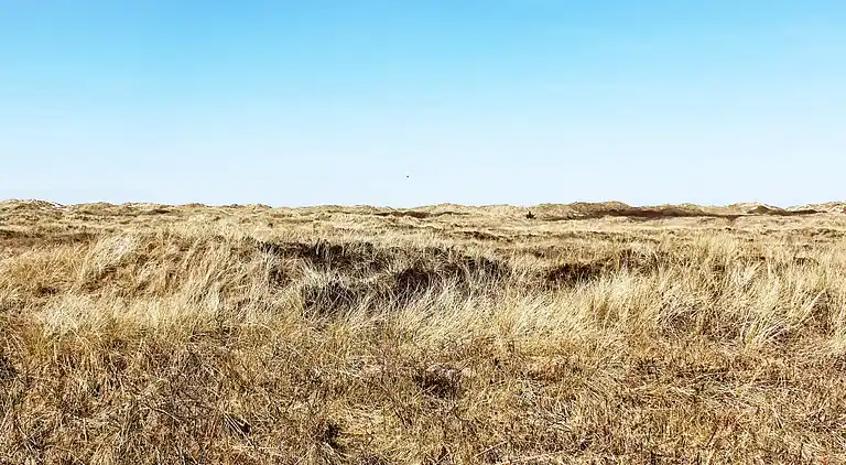 Maison de vacances en Lakolk
