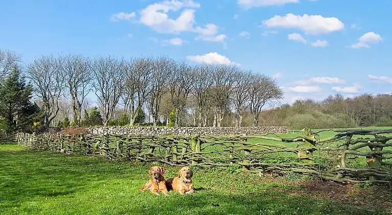 Holiday home in Spøttrup