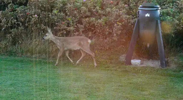 Holiday home in Lønstrup
