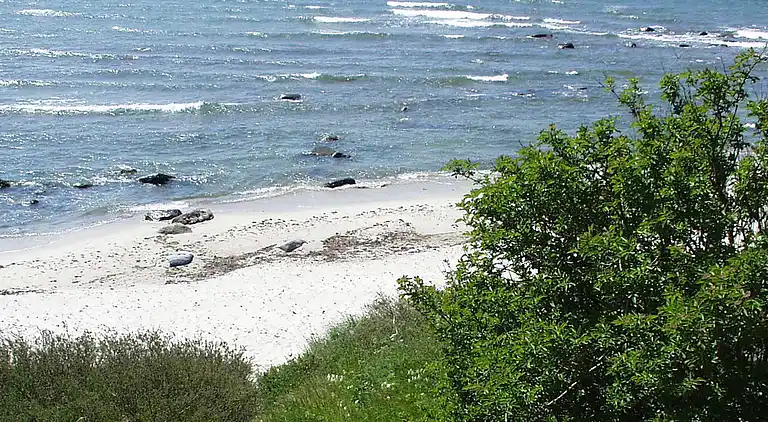 Casa vacanze in Sømarken