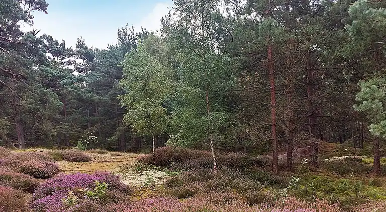 Holiday home in Nexø