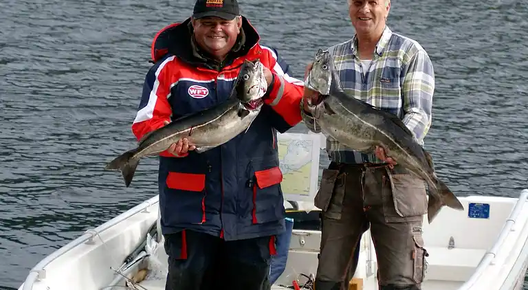 Holiday home in Surnadal