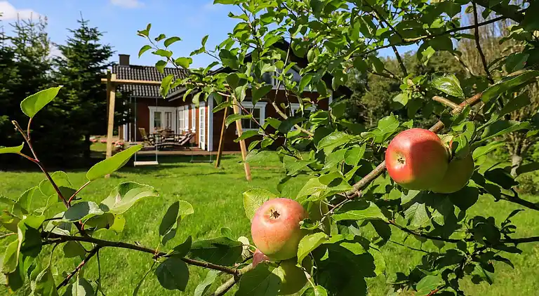 Holiday home in Frøstrup