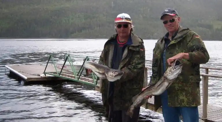 Holiday home in Surnadal