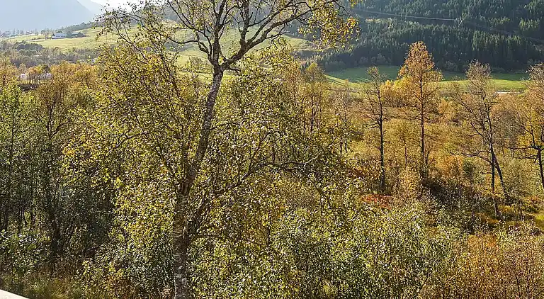 Holiday home in Helgheim