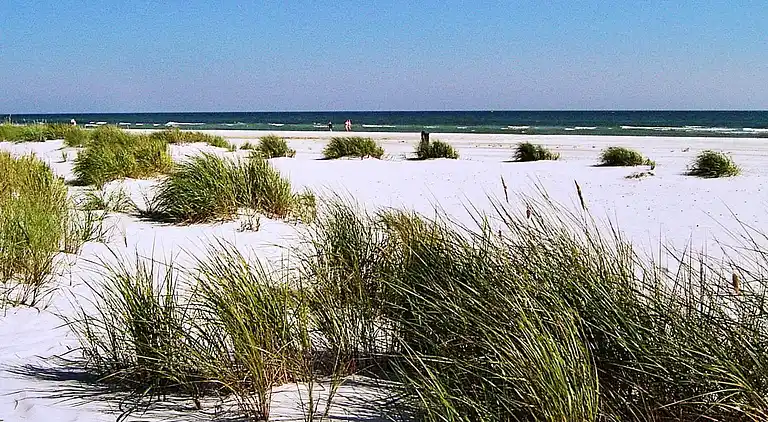 Casa vacanze in Dueodde