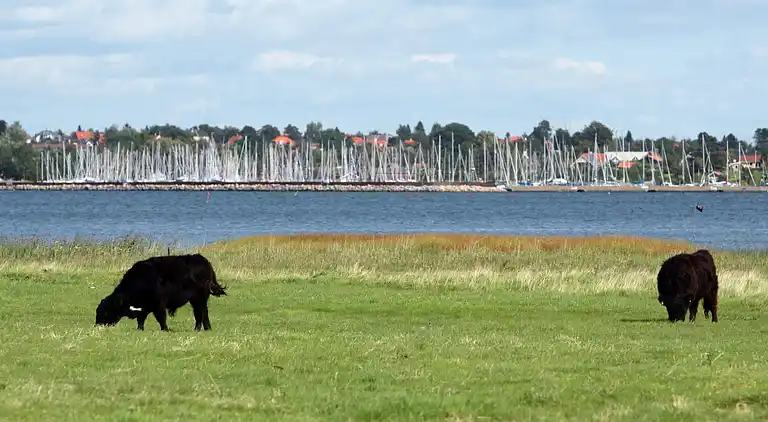 Holiday home in Jægerspris