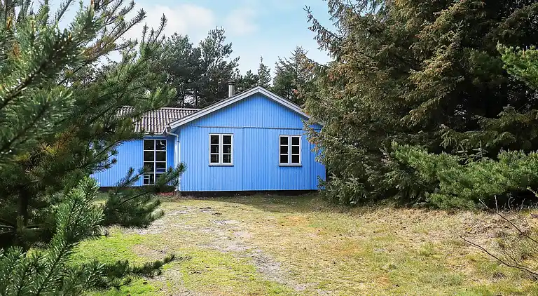 Holiday home in Snedsted