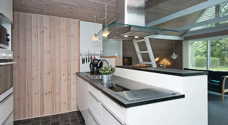 Vakantiehuis in Hemmet