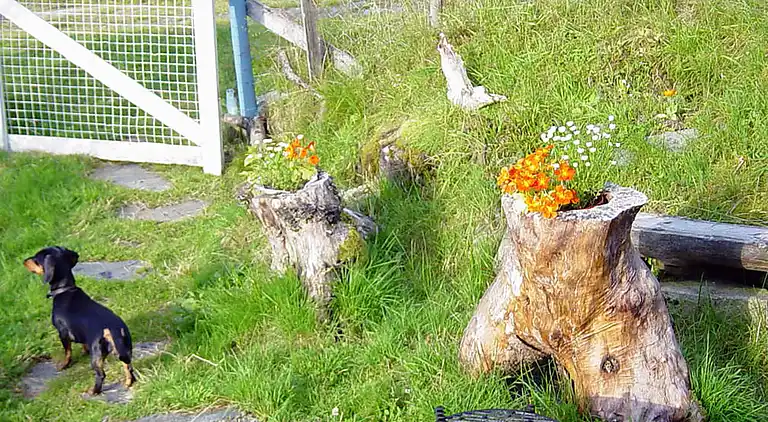 Holiday home in Åkra