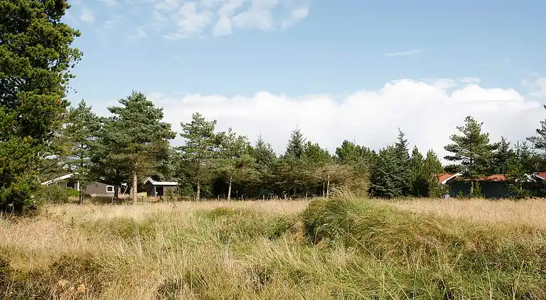 Feriebolig i Fjerritslev