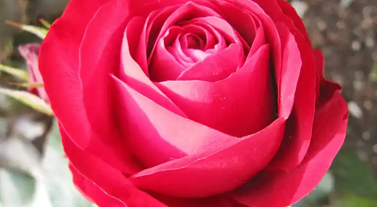 Holiday home in Stryn Municipality